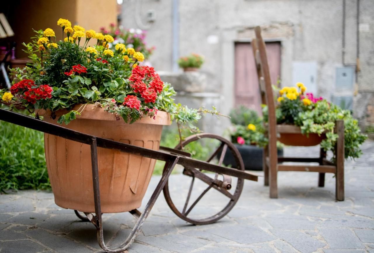Отель Dimora Turistica De' Piazza Roccalvecce Экстерьер фото